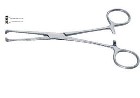 Forceps Tissue